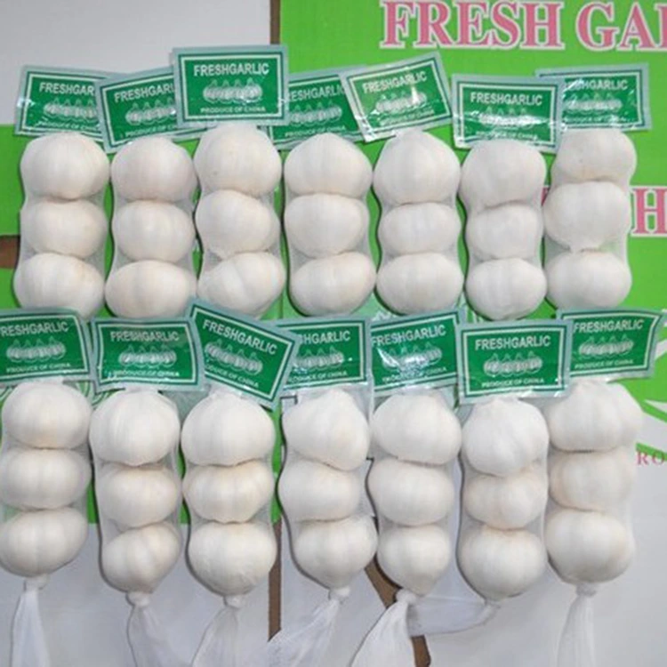 Kungani I-Premium Fresh Garlic Iyindlela Ekhethwayo Yabathengi Abaqaphela Ikhwalithi?