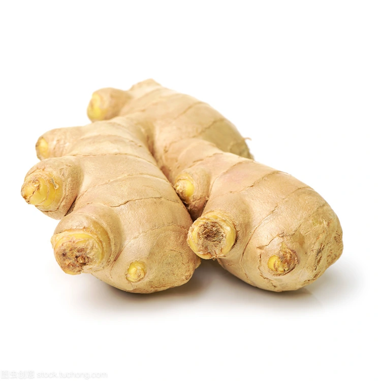 Kungani I-Premium Fresh Ginger Iyindlela Ekhethwayo Yabathengi Abaqaphela Ikhwalithi?