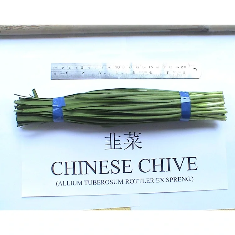 Kungani Epulazini Ama-Chives AseShayina Asetshenziswa Kakhulu E-Asian Cuisine?