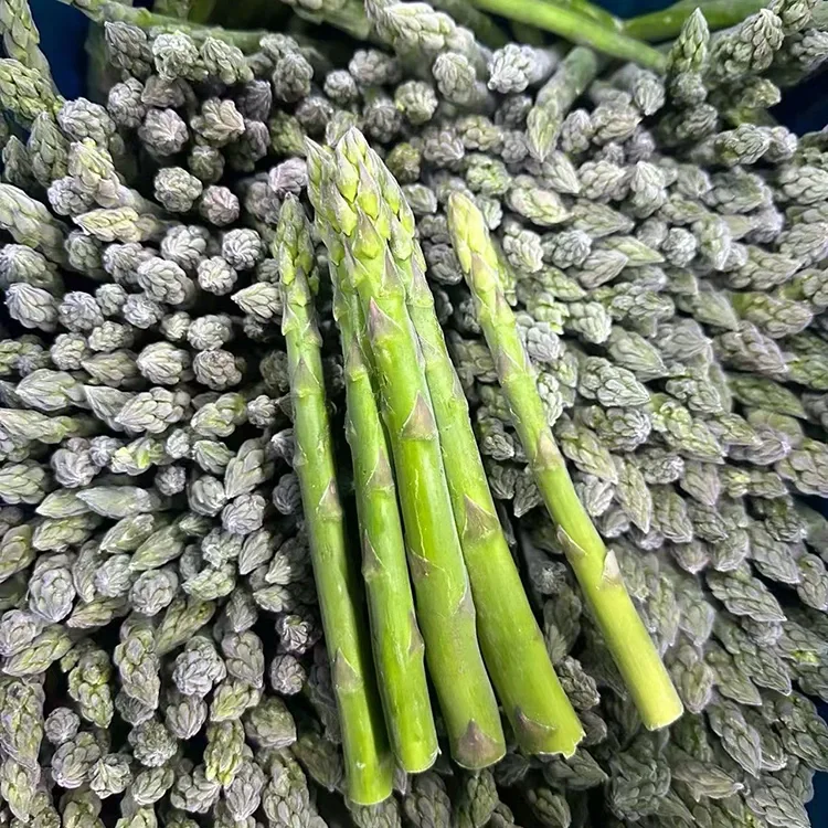 I-Asparagus Efriziwe Efriziwe Ekhethiwe Yesevisi Yokudla Engaguquki kanye Nokunikezwa Kwezithako
