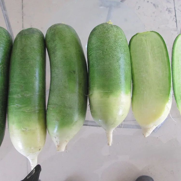 I-Crunchy Green Radish
