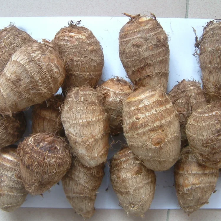 I-Field Taro entsha