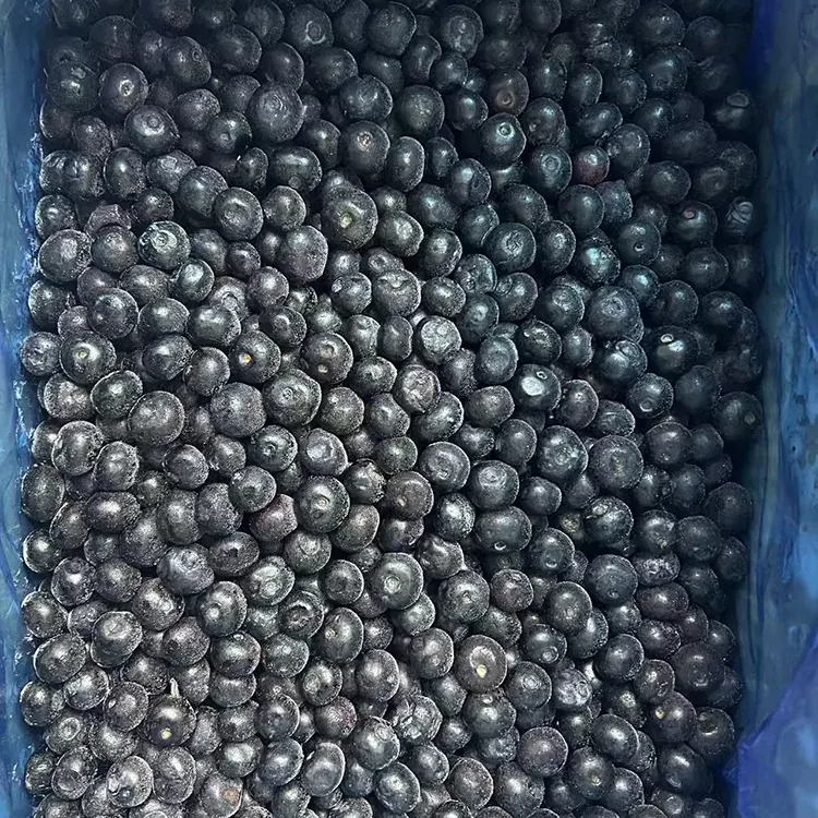 I-Frozen Blueberry Premium IQF Blueberries
