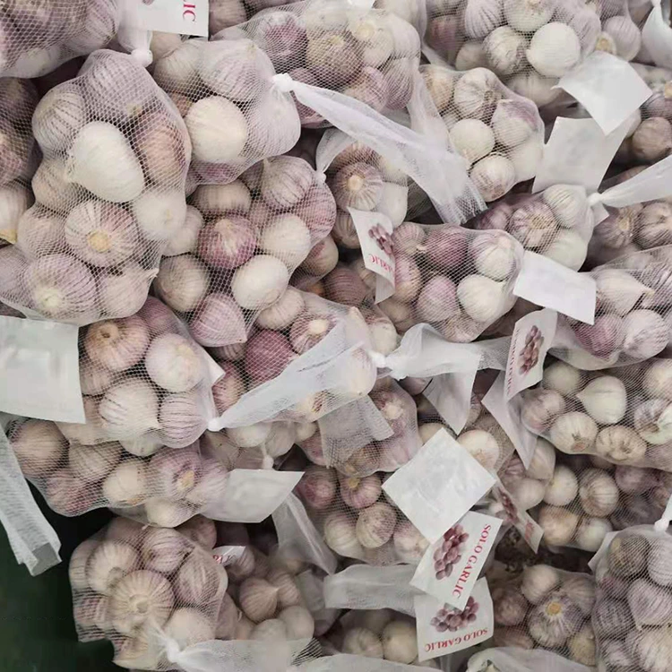 Ikhwalithi ephezulu ye-Single Clove Garlic