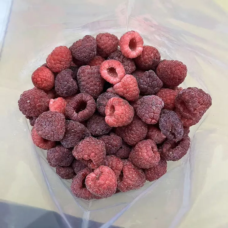 I-Premium IQF Whole Frozen Red Raspberry