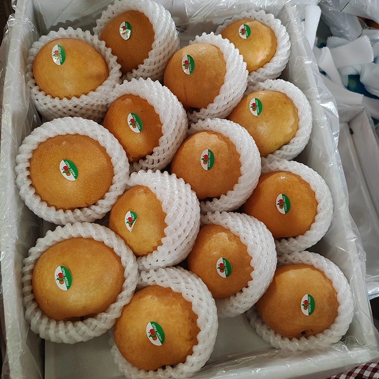 I-Premium Shingo Pears