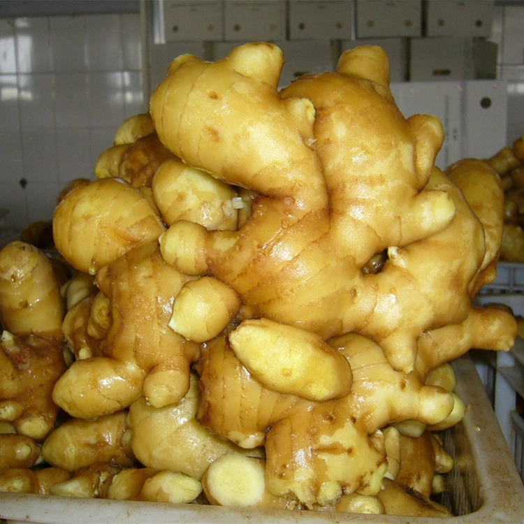 I-Spacy Fresh Ginger Ephunga