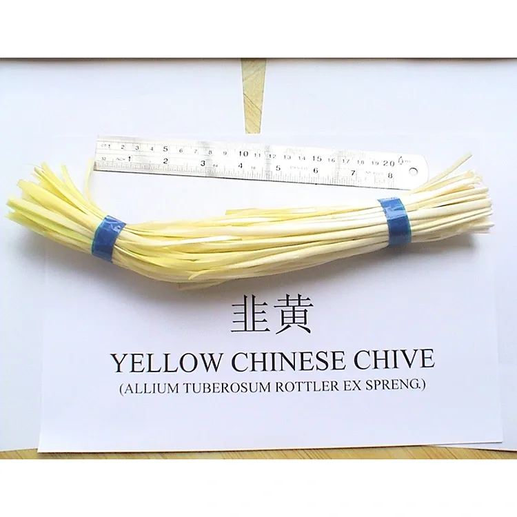 Ama-Chives Aphuzi
